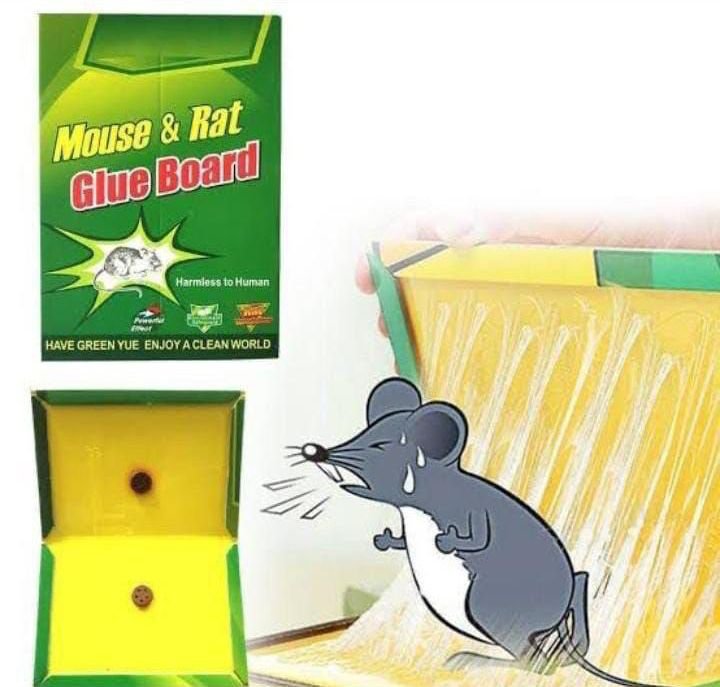 Effective Mouse Glue Traps: Indoor and Outdoor Rodent Control